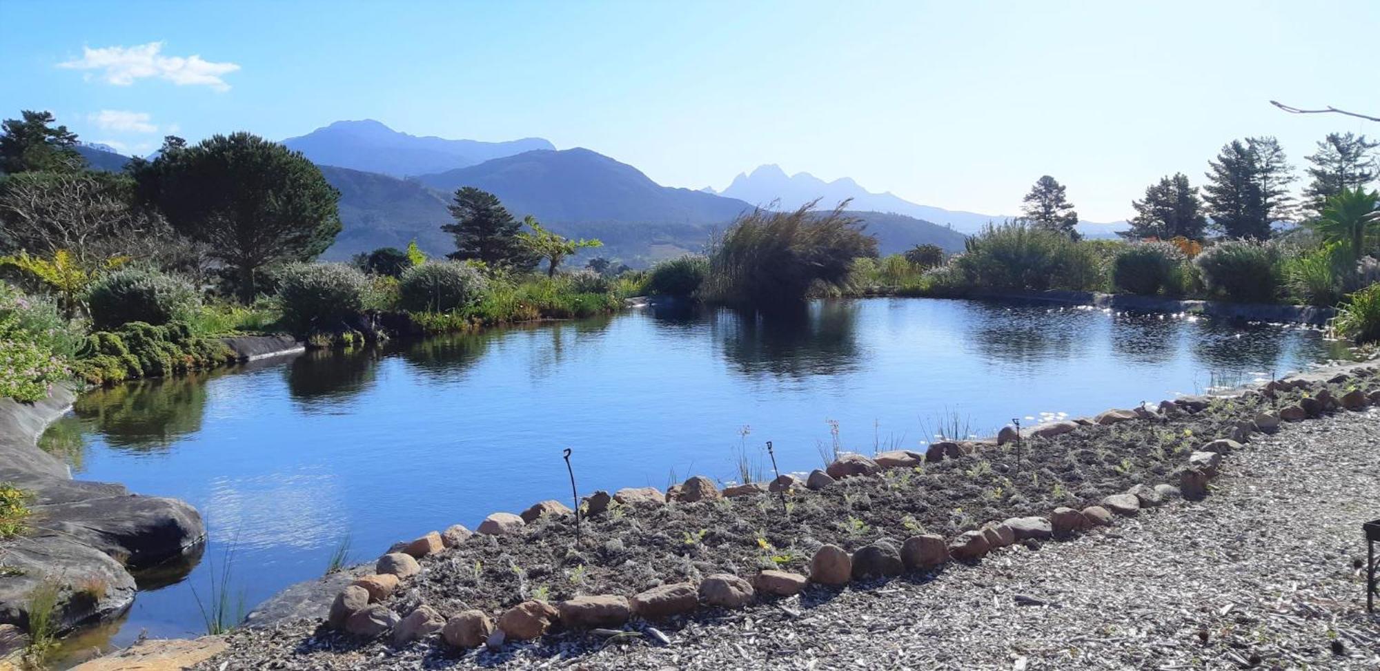 Gecko Cottage At Artemis Franschhoek Luaran gambar