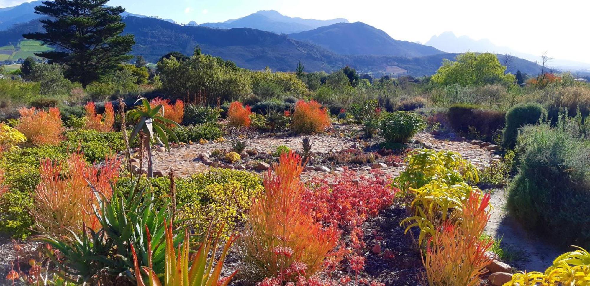 Gecko Cottage At Artemis Franschhoek Luaran gambar