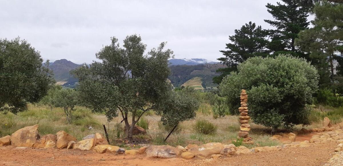 Gecko Cottage At Artemis Franschhoek Luaran gambar